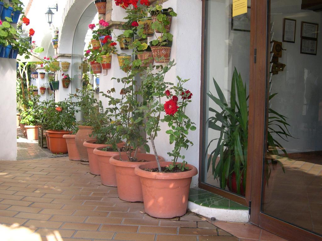 Hotel Cortijo Los Gallos Chiclana de la Frontera Extérieur photo